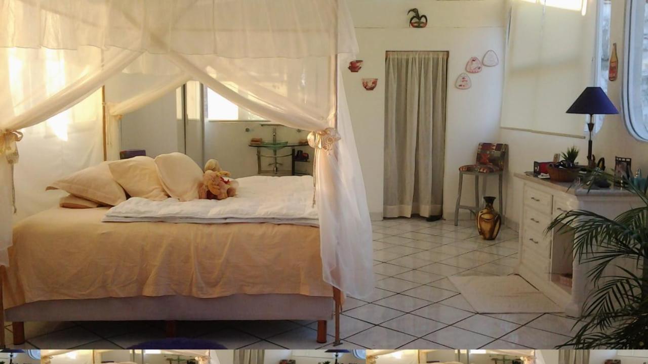 Boutique Basic Hotel Puerto Vallarta Esterno foto
