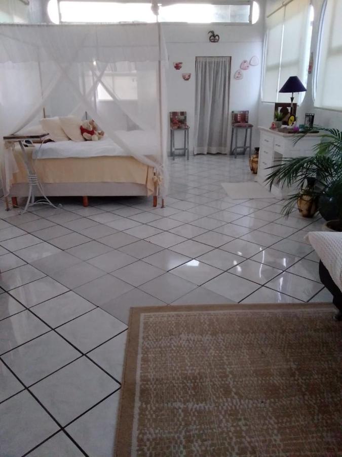 Boutique Basic Hotel Puerto Vallarta Esterno foto